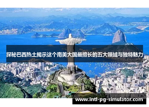 探秘巴西热土揭示这个南美大国最擅长的五大领域与独特魅力 探秘巴西热土揭示这个南美大国最擅长的五大领域与独特魅力