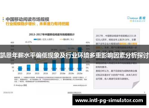 凯恩年薪水平偏低现象及行业环境多重影响因素分析探讨