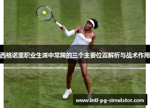 西格诺里职业生涯中常踢的三个主要位置解析与战术作用