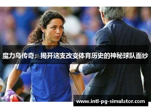 魔力鸟传奇：揭开这支改变体育历史的神秘球队面纱