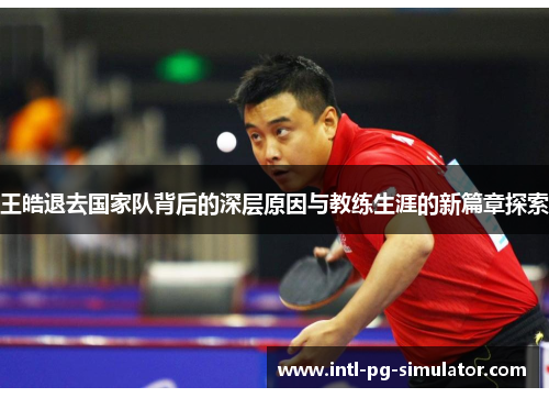 王皓退去国家队背后的深层原因与教练生涯的新篇章探索