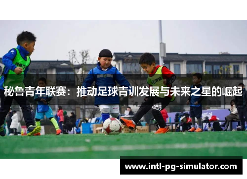 秘鲁青年联赛：推动足球青训发展与未来之星的崛起